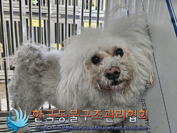 한국동물구조관리협회_411306202500127